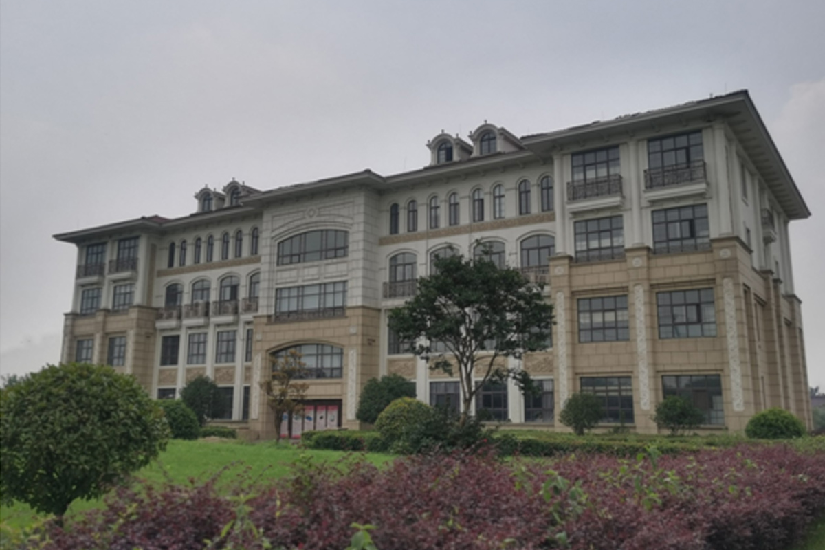 ZG系列電磁振動給煤機